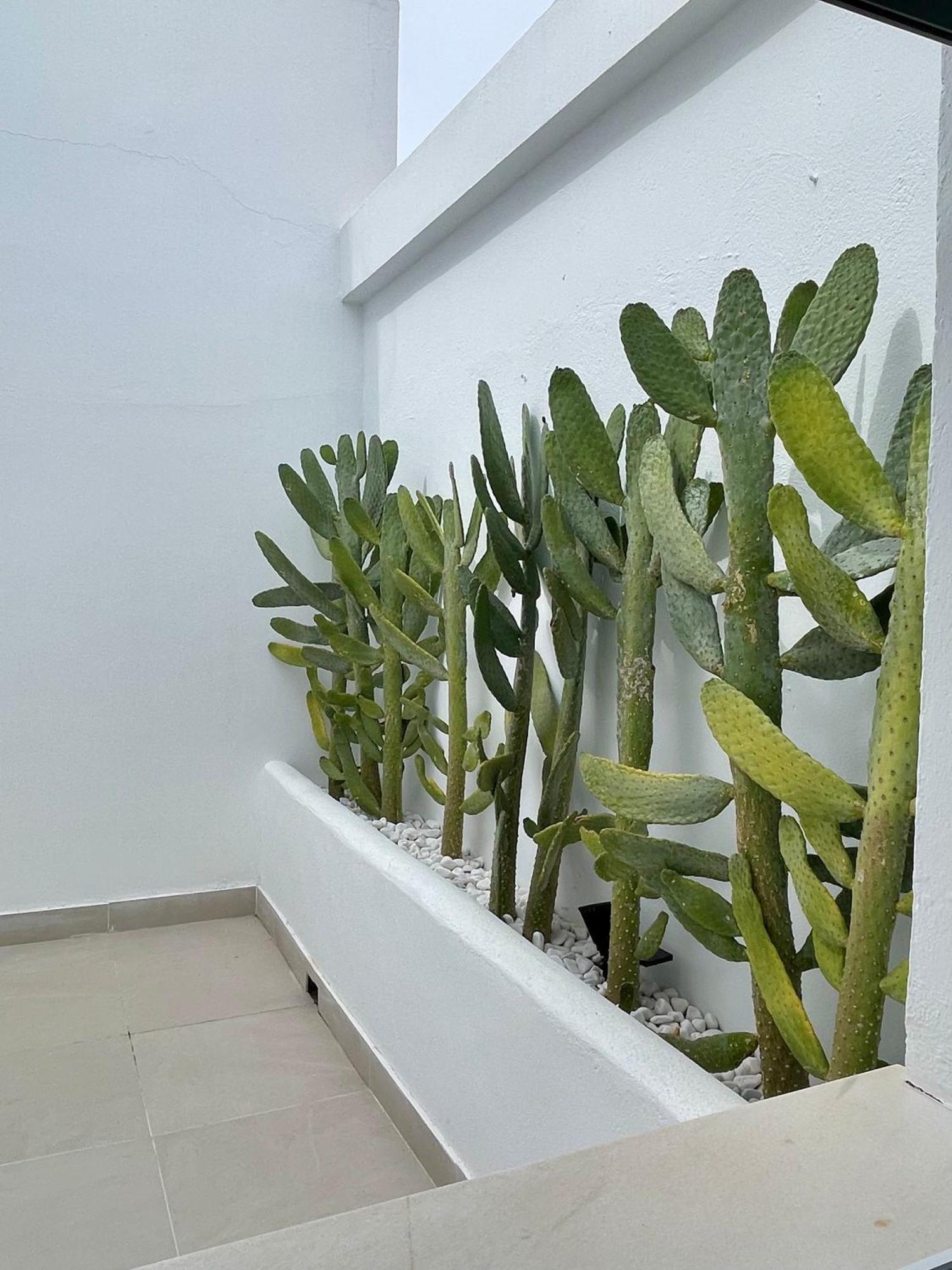 H Bellavista Mojacar Hotel Екстериор снимка